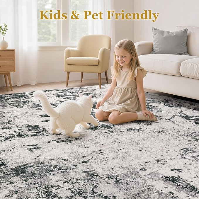 Area Rugs for Living Room: 6x9 Abstract Washable Rug Large Soft Stain Resistant Non-Slip Backing for Bedroom Dining Room Indoor Home Office Carpet for Kids Pet Friendly Families - Dark Grey