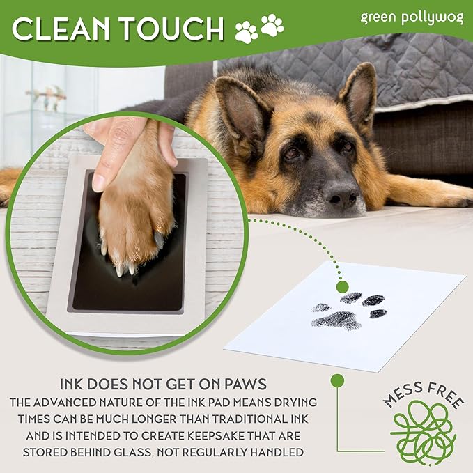 Green Pollywog | Wood Base Pawprint Frame Kit | (2) 4” x 6” Vertical Wooden Picture Frames | Extra-Large Clean Touch Ink Pad | Dog Paw Print Gifts | No Mess Ink Pad | Pet Memorial Picture Frame