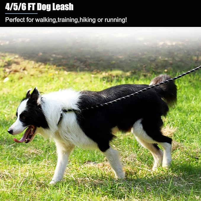 2 Pack Dog Leash, 4/5//6 FT Heavy Duty Nylon Rope Pet Leashes with Comfortable Padded Handle, Reflective Dog Leashes for Small Medium and Large Dogs (4FT-1/2,Black/Green)