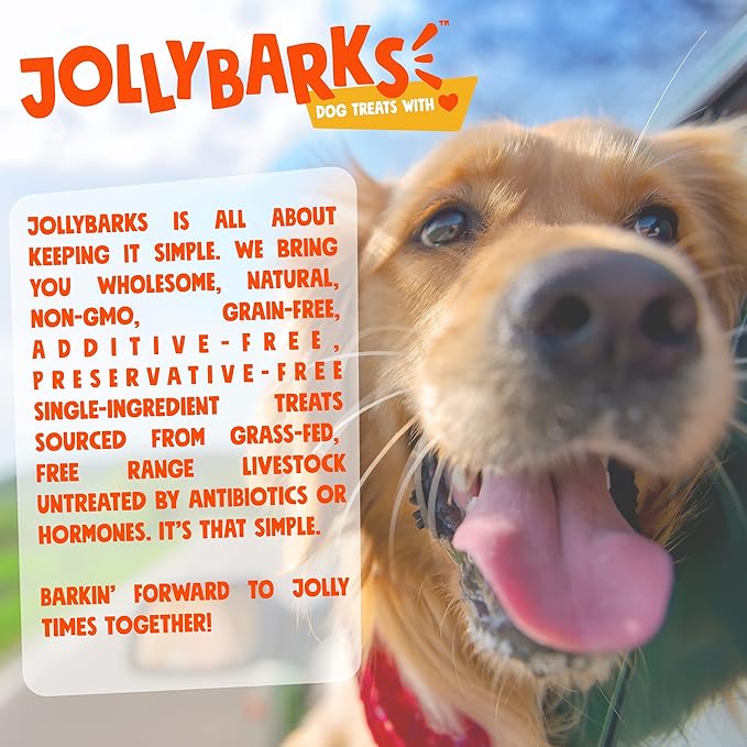 6 Inch Bully Sticks for Large Dogs (4 Pack) All Natural, Single Ingredient Bully Sticks for Medium Dogs, Aggressive Chewers