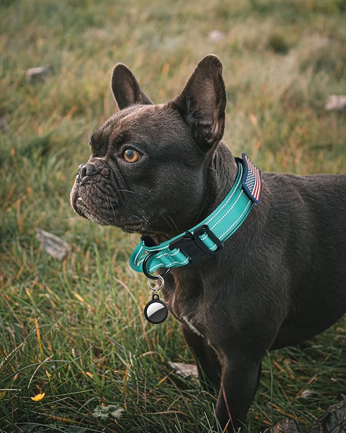 AUBELL Reflective Tactical Dog Collar,Adjustable Military Heavy Duty K9 Collars with Handle and Quick Release Metal Buckle Great for Large Dogs, with Airtag Case and 2 Patches (Teal,L)