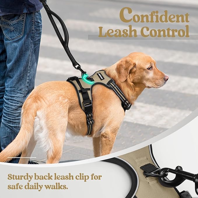 rabbitgoo Dog Harness No Pull with 2 Leash Clips, Adjustable Soft Padded, Reflective Oxford No Choke Pet Vest with Easy Control Handle for Medium Sized Dogs, Beige, M