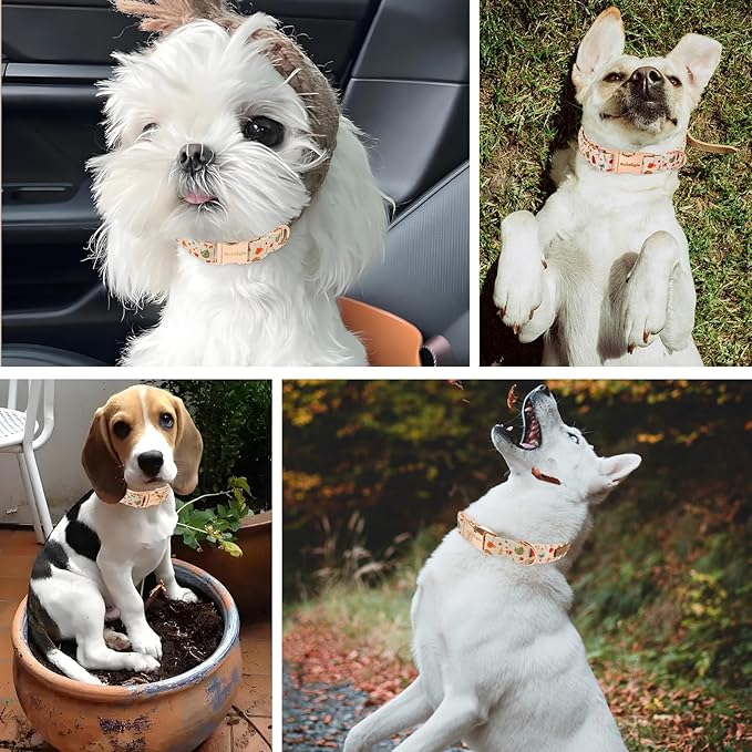 Autumn Dog Collar竊똕oft Cotton Handmade Pet Collar with Autumn Tea Party Design for Small Medium Large Dogs, Adjustable Collars for Fall Walks竊똖ea-Time Adventures & Fireside Snuggles -XS