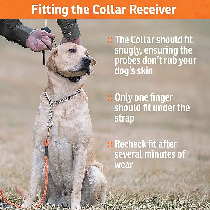 SportDOG Brand FieldTrainer 425X Remote Trainer - 500 Yard Range - Rechargeable Dog Training Collar with Static, Vibrate, and Tone - SD-425X
