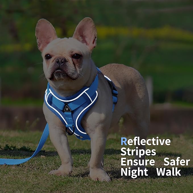 No Pull Dog Harness with Leash Set for Medium Sized Dog, Reflective Adjustable No Choke Front Clip Cat Vest Harness with Breathable Mesh, Comfortable Soft Padded Pet Vest, Blue XL