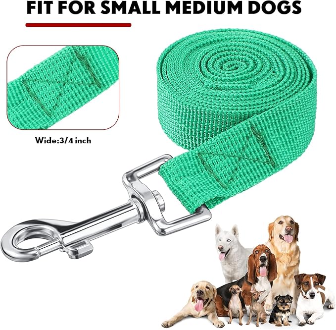 24 Pack Nylon Dog Training Leash Bulk 5 ft Dog Leash for Small and Medium Puppy Traction Rope for Training, Play, Camping, or Backyard, 12 Assorted Colors(Vibrant Colors)