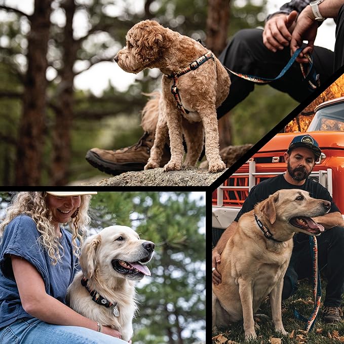 Wolfgang Heavy Duty Adjustable Dog Harness, Pull-Tested to Over 800 lbs for Walking & Training, Overland Print, Medium