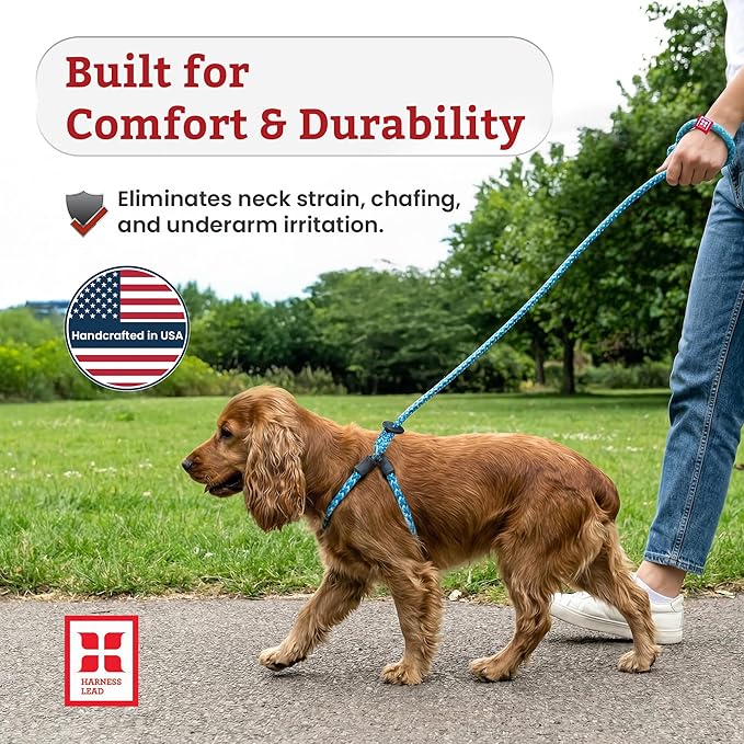 Harness Lead No Pull Dog Harness and Leash Set, Anti Pull Dog Harness, One-Piece Cushioned Rope Safely Prevents Escaping and Pulling (Small/Medium, Purple/Turquoise)