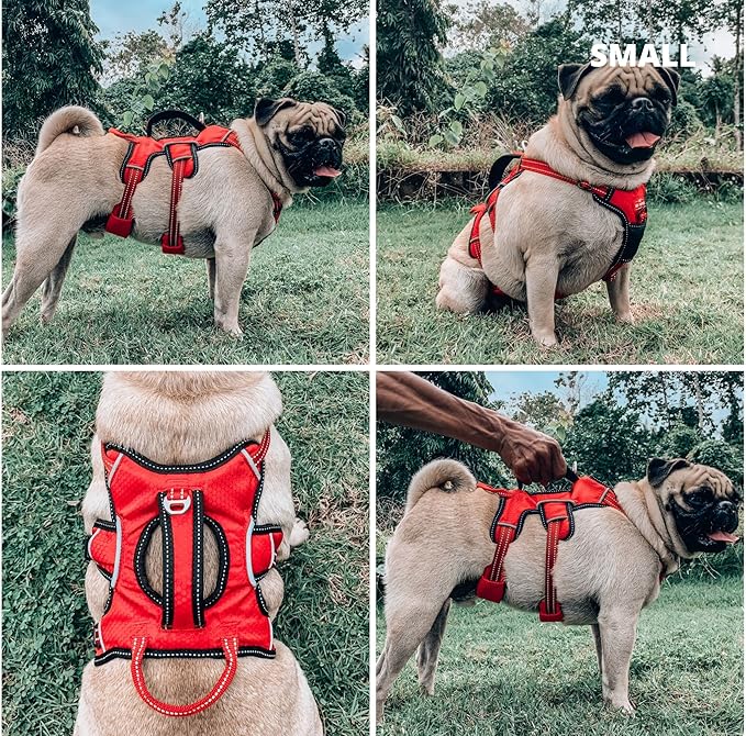 Tuff Pupper Tracker No Escape Dog Harness, Dual Attachment Points, Reflective 3M Stitching, XS - XL, March Red