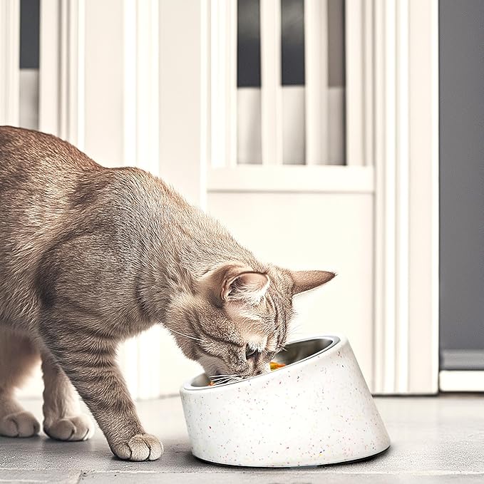 Bzyoo 2 Cup Tilted Dog Bowl for Small Dogs & Cats, Stylish Sprinkle Design, Elevated, Stainless Steel 16oz Inner Bowl, Non-Skid, Help Cotain Spills, Dishwasher Safe Color: White