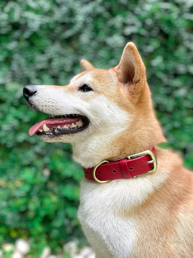 Tuff Pupper Classic Heavy Duty Dog Collar | 10x Stronger Than Leather | 100% Waterproof & Odor Proof Dog Collar | Tough Rust-Proof All Metal Hardware