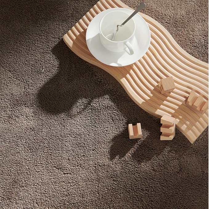 jinchan Solid Plush Area Rug 5x7 Performance Shaggy Washable Rug Indoor Soft Modern Faux Wool Cozy Non Slip Carpet for Living Room Kids Room Bedroom Dining Room Nursery Brown