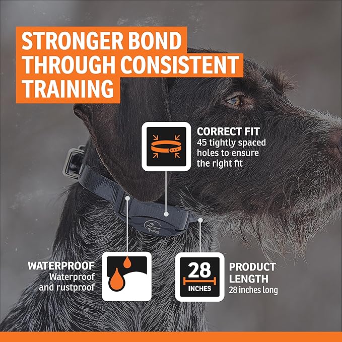 SportDOG 3/4-Inch Collar Strap - Waterproof Replacement Strap for Rugged Outdoor Use - Adjustable Collar with High Visibility - Camo