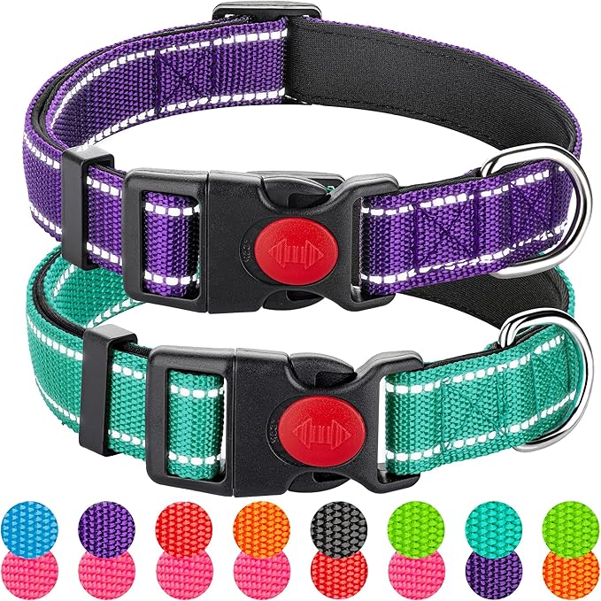 2 Pack Reflective Dog Collars for Medium Dogs Girl Boys,Female Male,Nylon Dog Collars for Puppy small Large Dogs with Quick Release Safety Buckle, Durable padded soft neoprene Dog Collar,Purple,Teal,M