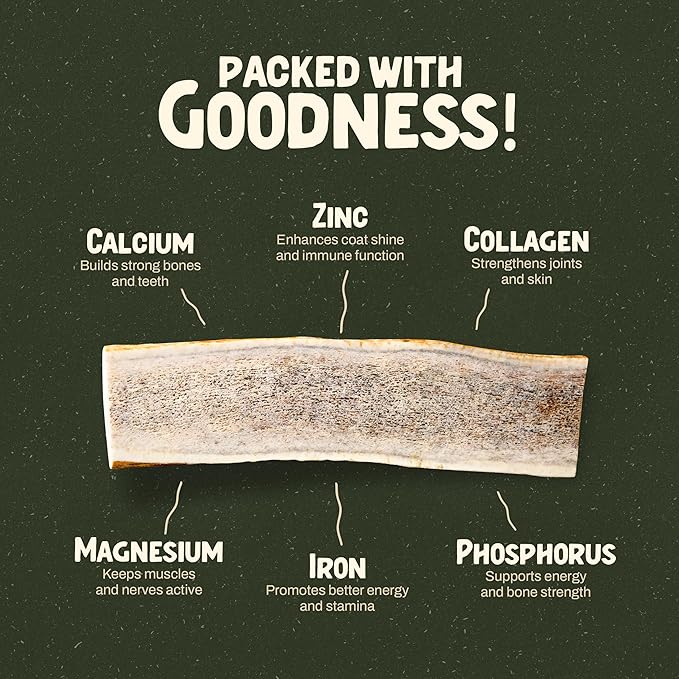 Heartland Whole Elk Antlers for Dogs (4–5”, 2-Pack) – Long-Lasting, Odorless Dental Chews for Small Breed Aggressive Chewers – USA Sourced, Natural Antler Bones to Reduce Tartar & Curb Boredom