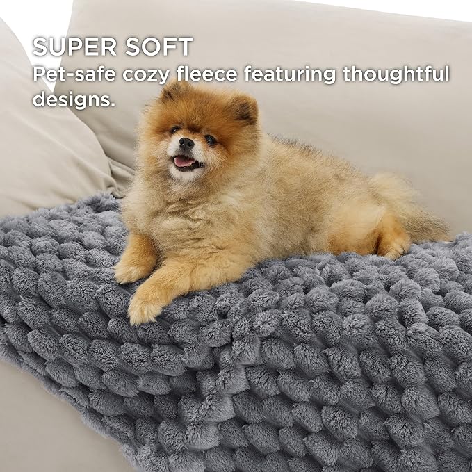 Bedsure Dog Blanket for Small Dogs Washable - Fluffy Fuzzy Puppy Cat Flannel Blanket with Premium 350GSM Coral Fleece Soft for Pet Kitten Doggy, Grey Bobo, 25x35IN