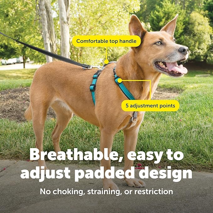 PetSafe 3-in-1 Harness - Comfortable Easy-Walk Dog Chest Harness with Front Leash Attachment to Reduce Pulling, Choking & Gagging - Dog Obedience Gear - Medium - Teal