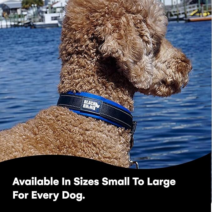 Black Rhino Reflective Dog Collar - Heavy Duty Adjustable Comfort Collar with Ultra Soft Neoprene Padding for All Breeds - Weatherproof, Lightweight Dog Collars for Large Dogs (Large, Blue/Grey)