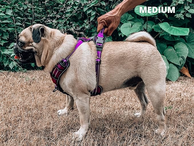 Tuff Pupper No Pull Easy Walk Dog Harness | Heavy Duty Pet Vest | Front & Back Leash Clips | Strong Safety Handle | Reflective Anti Pull Vest | Comfortable Padded Escape Proof Harness(Medium, Purple)