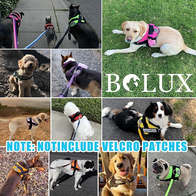 Bolux Dog Harness, No-Pull Reflective Dog Vest, Breathable Adjustable Pet Harness with Handle for Outdoor Walking - No More Pulling, Tugging or Choking (OceanicBlue, X-Large (Pack of 1))