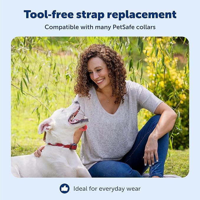PetSafe 3/4" Rust Replacement Collar Strap with No Holes - Adjustable Strap - Durable Nylon Design - Quick-Snap Buckle - Compatible with Wireless Fence & Bark Collars - 30" - Black