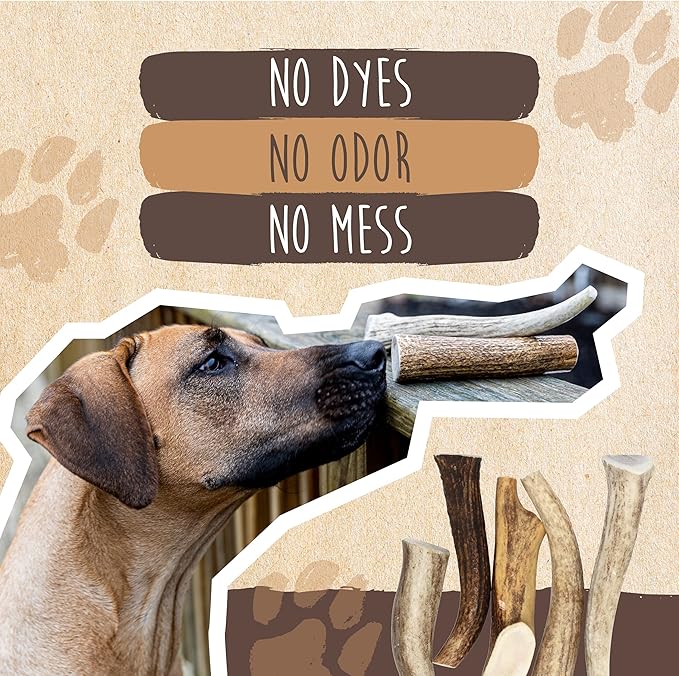 Mighty Paw Split Elk Antlers for Dogs (Sourced in The USA) | 2 Whole Large 8"+ Long Lasting Bones for Aggressive Chewers - Naturally Shed Split Deer Antler for Dogs - Low Odor Chews (Pack of 2)