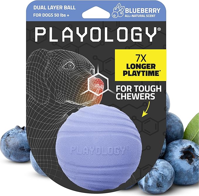 Playology Dog Toys | Dual Layer Ball Durable Chew Toy for Aggressive Chewers | Jumbo Blueberry Scented Toy - Easy to Clean and Made from Non Toxic Materials