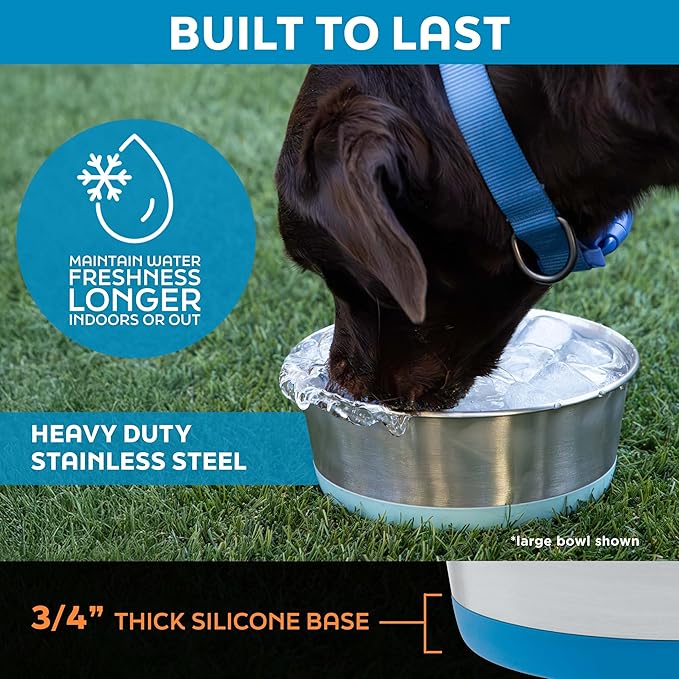 Master Pet Supply Stainless Steel Dog Bowls Set of 2 with Extra Thick Silicone Base - 4 Cup (32 oz) Aqua Sky, Non-Slip, Dishwasher Safe Metal Bowls, Pet Dog Food Bowl for Dogs, Cats, Anti Rust