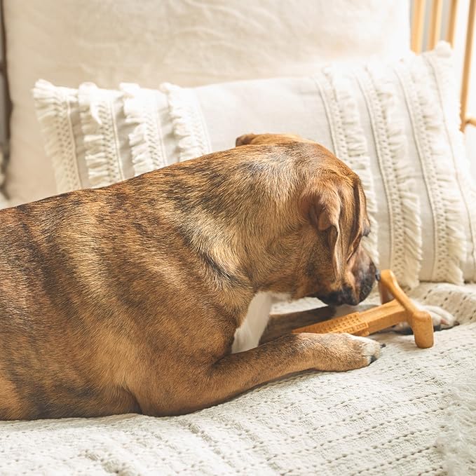 SPOT Bam-Bones Plus T Bone - Bamboo Fiber & Nylon, Durable Long Lasting Dog Chew for Aggressive Chewers – Toy for Dogs & Puppies Under 60lbs, Non-Splintering, 6in, Allergen Free Peanut Butter Flavor