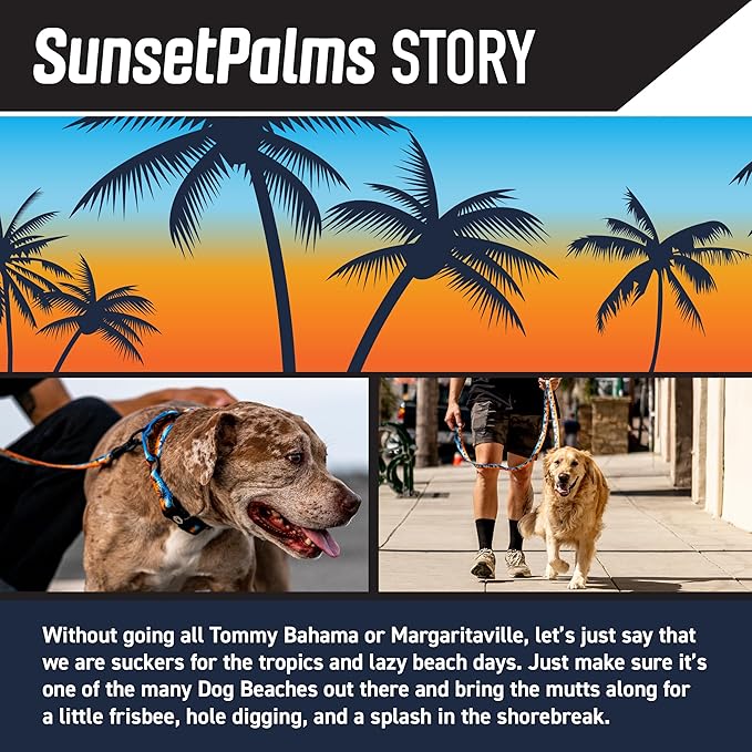 Wolfgang Heavy Duty, Adjustable Dog Collar with Quick Release Nylon Buckle for Walking & Training, SunsetPalms Print, Medium