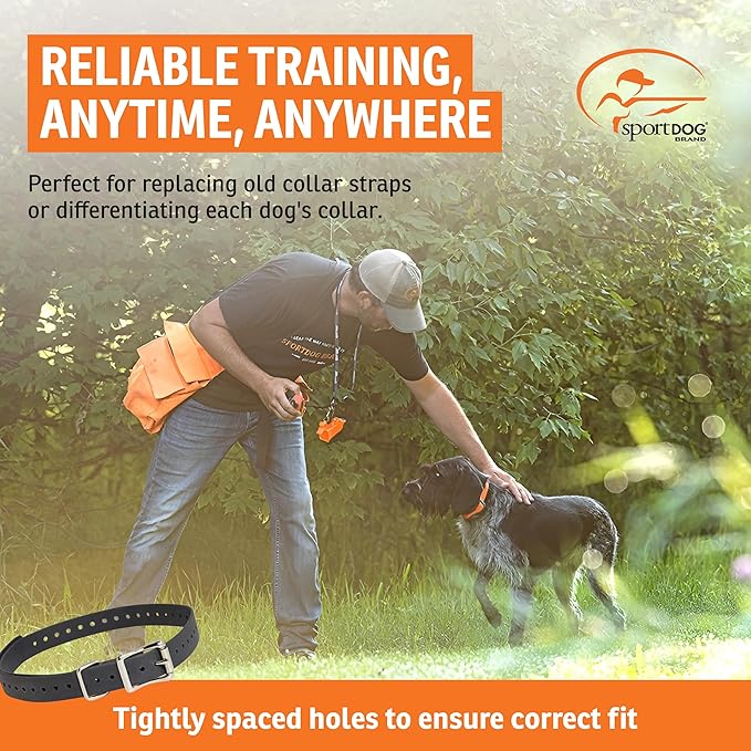 SportDOG 3/4-Inch Collar Strap - Waterproof Replacement Strap for Rugged Outdoor Use - Adjustable Collar with High Visibility - Grey