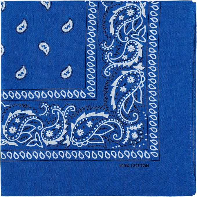 combocube 12 Pack(one Dozen) Multi-Purpose Cotton Paisley Cowboy Bandanas Headband for Men and Women