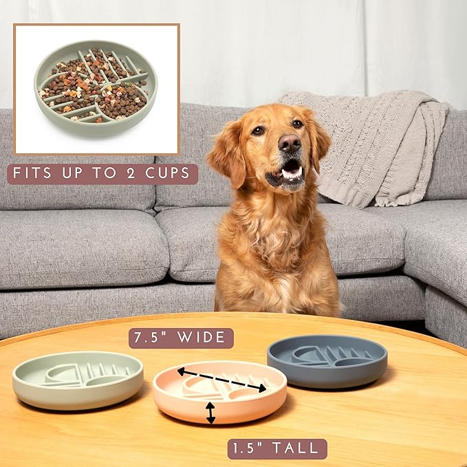 Should We Go? Slow Feeder for Dogs & Puppies, The Slowdown Bowl Silicone Slow Eating, Modern Lick Mat Design, Reduces Gulping, Fits 2 Cups, 7.5” Across x 1.5” Tall, Mealtime Challenge, Medium-Charcoal