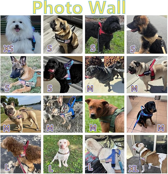 Annchwool No Pull Dog Harness with Soft Padded Handle,Escape Proof and Quick Fit to Adjust Dog Harness,Easy for Training Walking for Small & Medium and Large Dogs(Camo Purple,M)