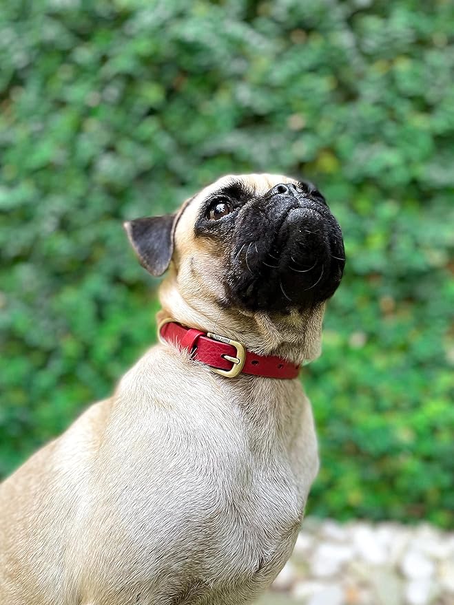 Tuff Pupper Classic Heavy Duty Dog Collar | 10x Stronger Than Leather | 100% Waterproof & Odor Proof Dog Collar | Tough Rust-Proof All Metal Hardware