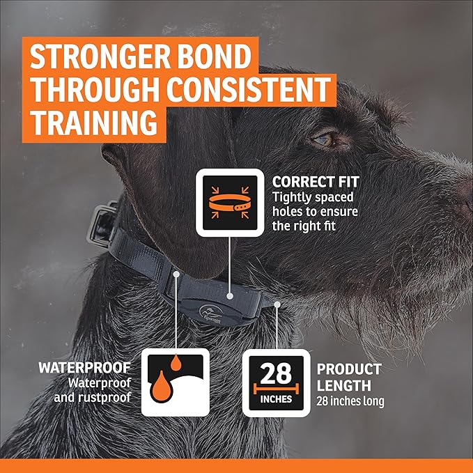 SportDOG 3/4-Inch Collar Strap - Waterproof Replacement Strap for Rugged Outdoor Use - Adjustable Collar with High Visibility - Green