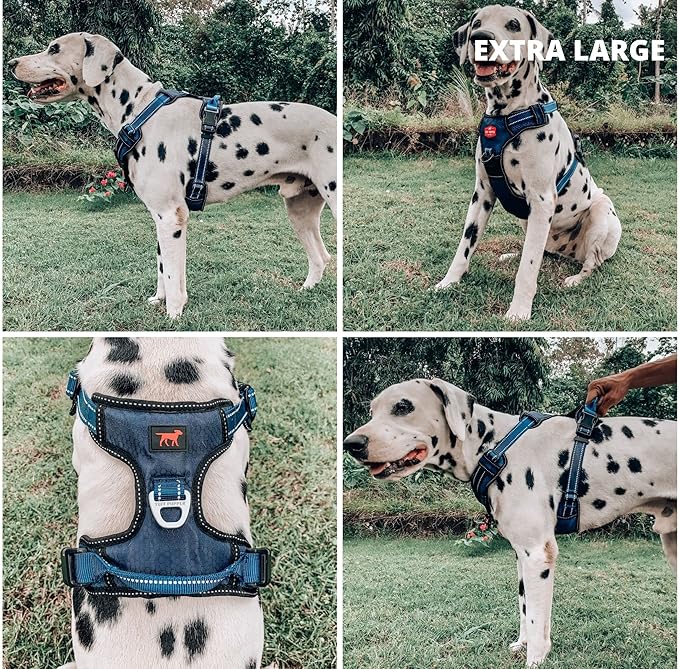 Tuff Pupper No Pull Easy Walk Dog Harness | Heavy Duty Pet Vest | Front & Back Leash Clips | Strong Safety Handle | Reflective Anti Pull Vest | Comfortable Padded Escape Proof Harness (X-Large, Blue)