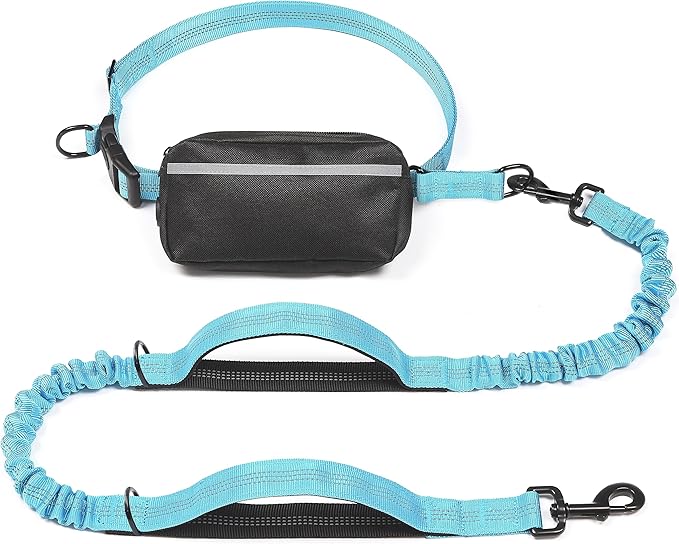 iYoShop Hands Free Dog Leash with Zipper Pouch, Dual Padded Handles and Durable Bungee for Walking, Jogging and Running Your Dog (Medium, 8-25 lbs, Blue)