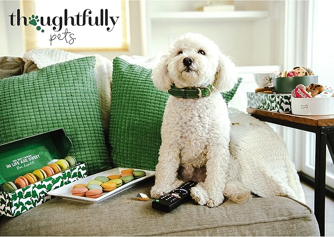 Thoughtfully Pets, Puppy Love Gourmet Dog Cookie Gift Set, Ginger Flavored Crunchy Dog Treats in Bone Shapes, Set of 8