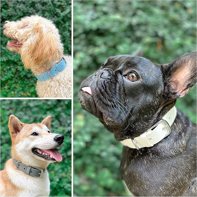 Tuff Pupper Classic Heavy Duty Dog Collar | 10x Stronger Than Leather | 100% Waterproof & Odor Proof Dog Collar | Tough Rust-Proof All Metal Hardware