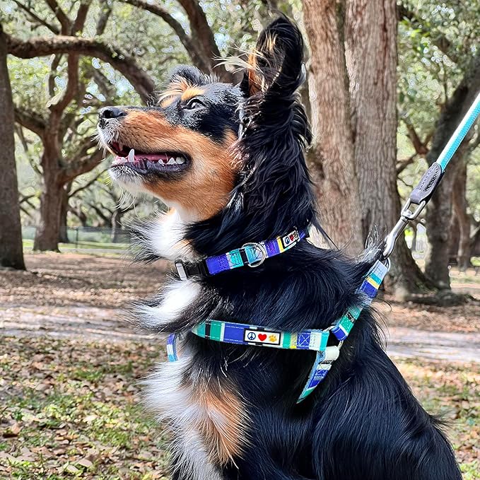Pawtitas Multicolor Step-in Dog Harness – Adjustable No-Pull Vest for Puppies to Seniors, Safe & Comfortable XS Teal/Pink/Purple
