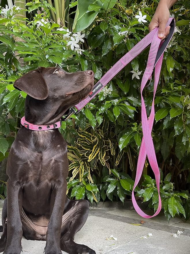 Tuff Pupper Heavy Duty Double Handle Leash | Twist Locking Carabiner Clip | Safety Lock for Strong Dogs | Reflective for Safe Night Walks | 6 Foot Leash for Medium & Large Dogs