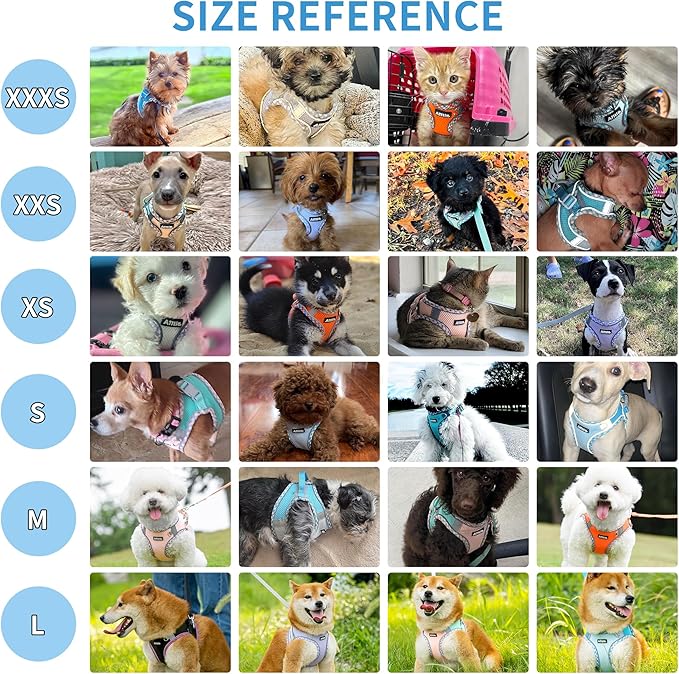 AIITLE XXS Dog Harness & Leash Set - Breathable Reflective No-Choke Small Dog Harness for Teacup Puppies, Indoor/Outdoor Use - Boston Terrier, Maltese, Chihuahua (Turquoise-Pink, XXS)