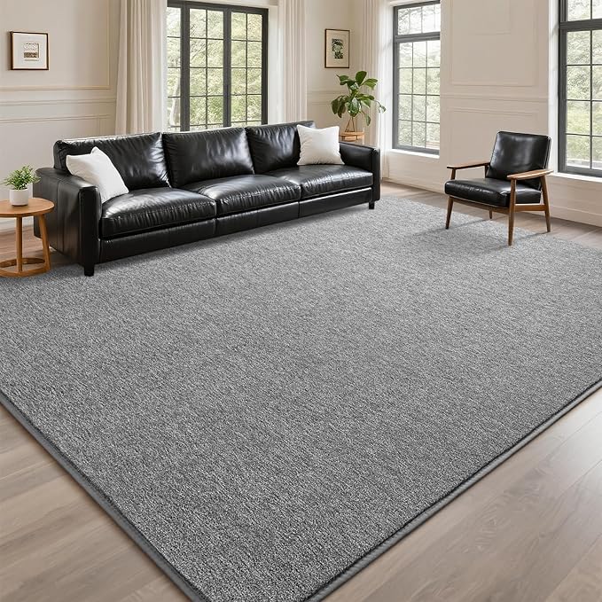 DweIke Rugs for Bedroom Living Room, 4x6 ft Grey Area Rug, Washable Memory Foam Indoor Carpet, Modern Non-Slip Ultra Soft Carpets for Kids Boys Girls Adults Nursery Dorm Home Decor