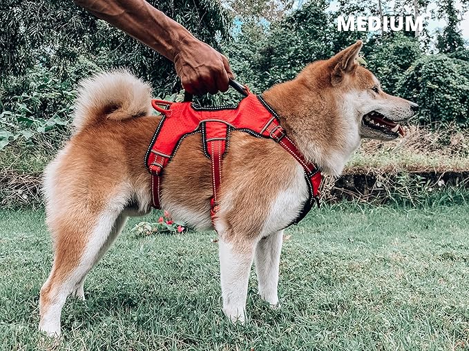 Tuff Pupper Escape Proof No Escape Dog Harness | 5 Point Adjustable Fit Harness for Dogs | Padded Dog Harnesses | Handle Dog Lift Harnesses