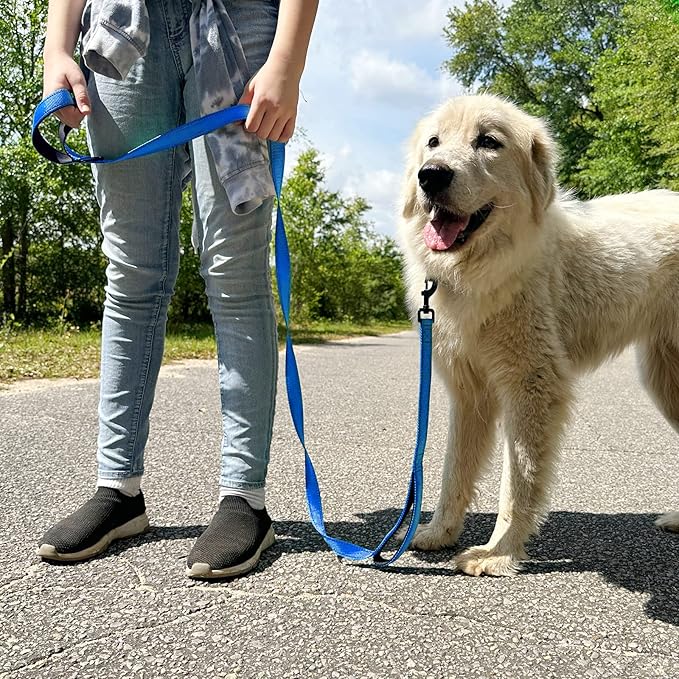 Joytale Dog Leash Heavy Duty for Large Dogs That Pull, Double Handle for Traffic Control, Double-Sided Reflective Leashes for Large Medium Dogs Night Safety, 6FT, Royal Blue