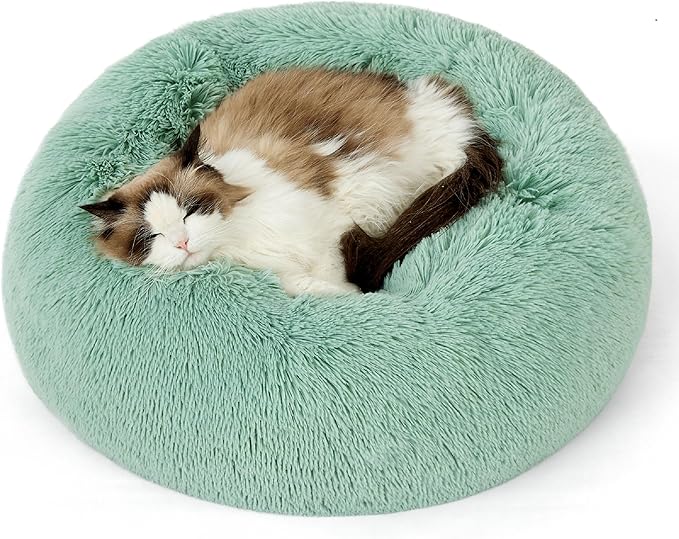 Bedsure Calming Cat Beds for Indoor Cats - Small Cat Bed Washable 20 inches, Anti-Slip Round Fluffy Plush Faux Fur Pet Bed, Fits up to 15 lbs Pets, Garden Green
