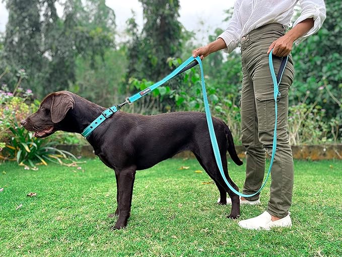 Tuff Pupper Heavy Duty Double Handle Leash | Twist Locking Carabiner Clip | Safety Lock for Strong Dogs | Reflective for Safe Night Walks | 6 Foot Leash | For Medium & Large Dogs