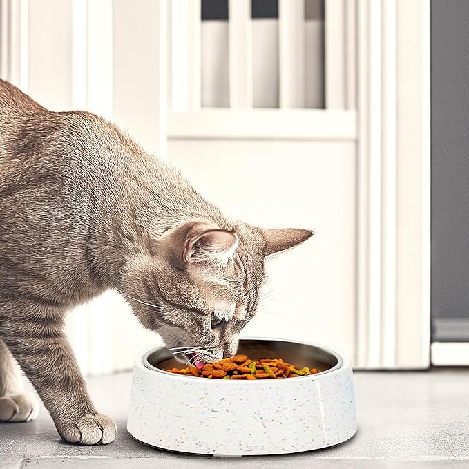 bzyoo 32oz 4CUP Elevated Dog & Cat Bowl, Sprinkle Design, Slanted Stainless Steel Pet Bowl with Removable Inner Bowl, Non-Slip Silicone Base, Dishwasher Safe, for Dry/Wet/Raw Food & Water White