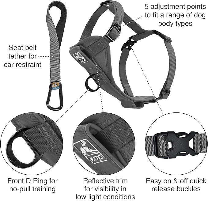 Kurgo Tru-Fit Smart Dog Walking Harness - Comfortable Fit - Adjustable Harness - Reflective Pet Wear - Quick Strap Release - Daily Walk Accessory - Includes Seat Belt Loop - Grey - Small
